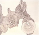 Vicensia Gonsales (desenho) - "Linhas #3"