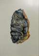 Ruana Negri (pintura) - "Da série: Elementos da Natureza - Cyrtopieura"