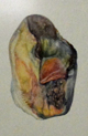 Ruana Negri (pintura) - "Da série: Elementos da Natureza - Natilus Pompilius"
