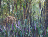 Bruno Duque (pintura) - "Mata VI"