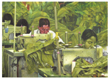 Roni Kane (pintura) - "Trabalho"